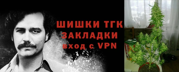 сатива Усинск