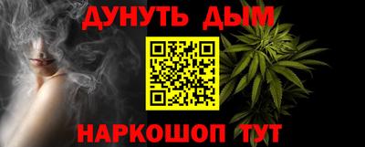 трава Гатчина