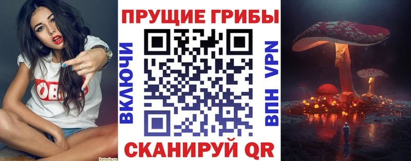 Галлюциногенные грибы Magic Shrooms  ОМГ ОМГ tor  Нальчик 