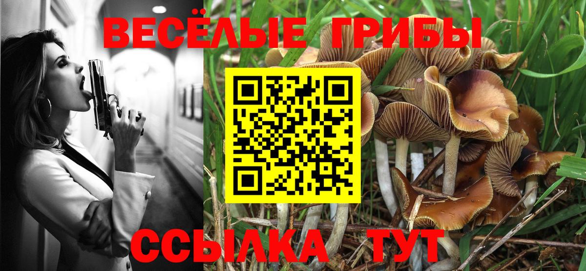 Псилоцибиновые грибы прущие грибы Нальчик