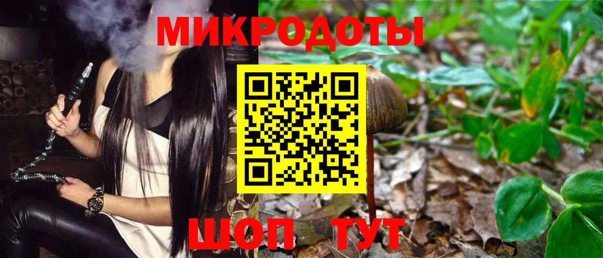 Псилоцибиновые грибы Psilocybine cubensis  Галлюциногенные грибы мицелий  Вход с VPN  Нальчик 